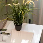 Tartini Lofts Daire