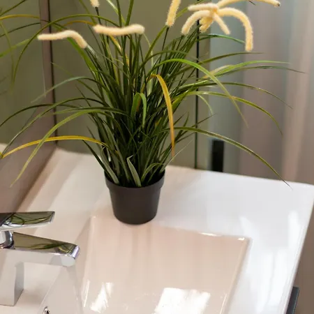 Tartini Lofts Daire